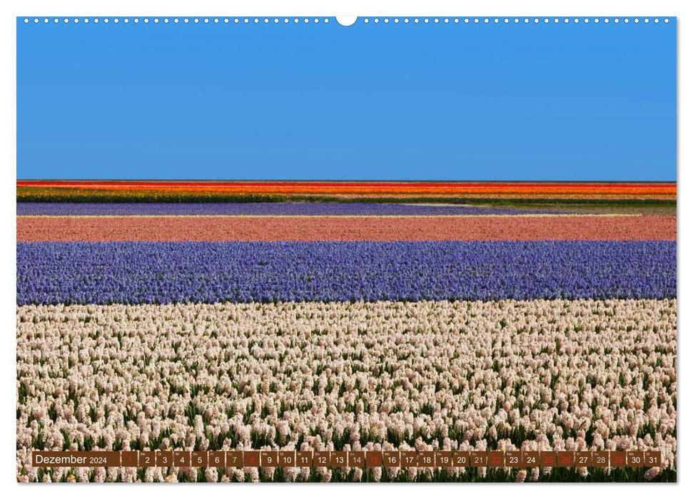 Agrarwirtschaft - Impressionen (CALVENDO Premium Wandkalender 2024)