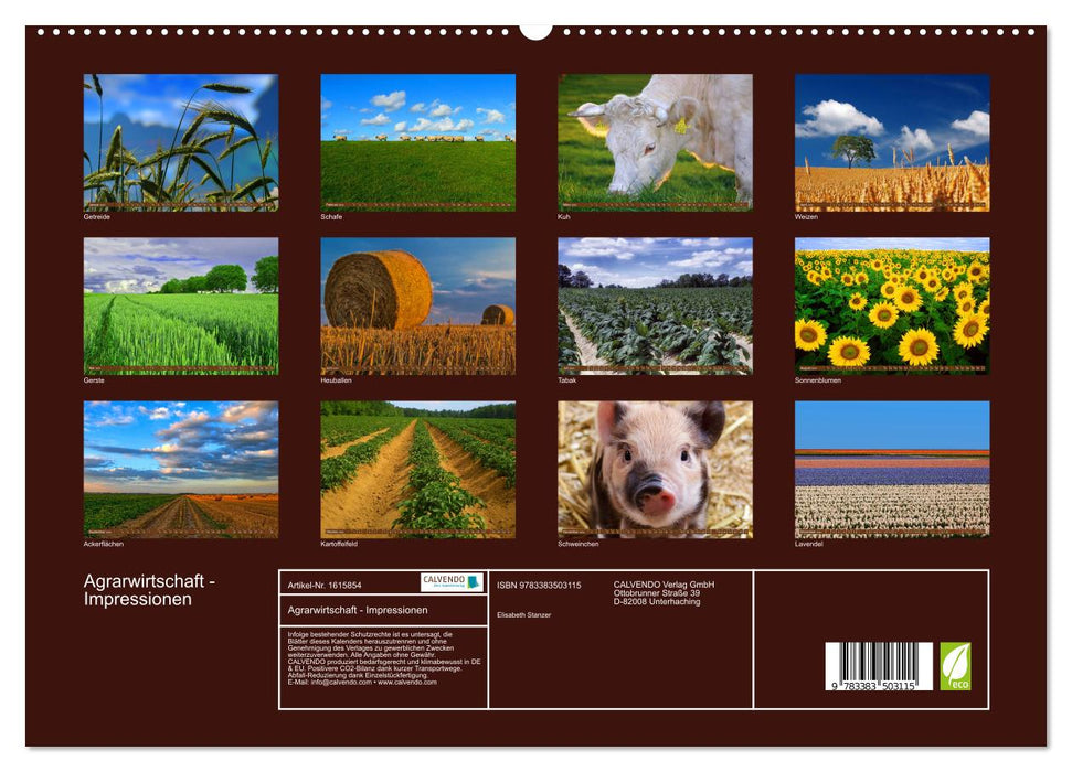 Agriculture - Impressions (Calendrier mural CALVENDO Premium 2024) 