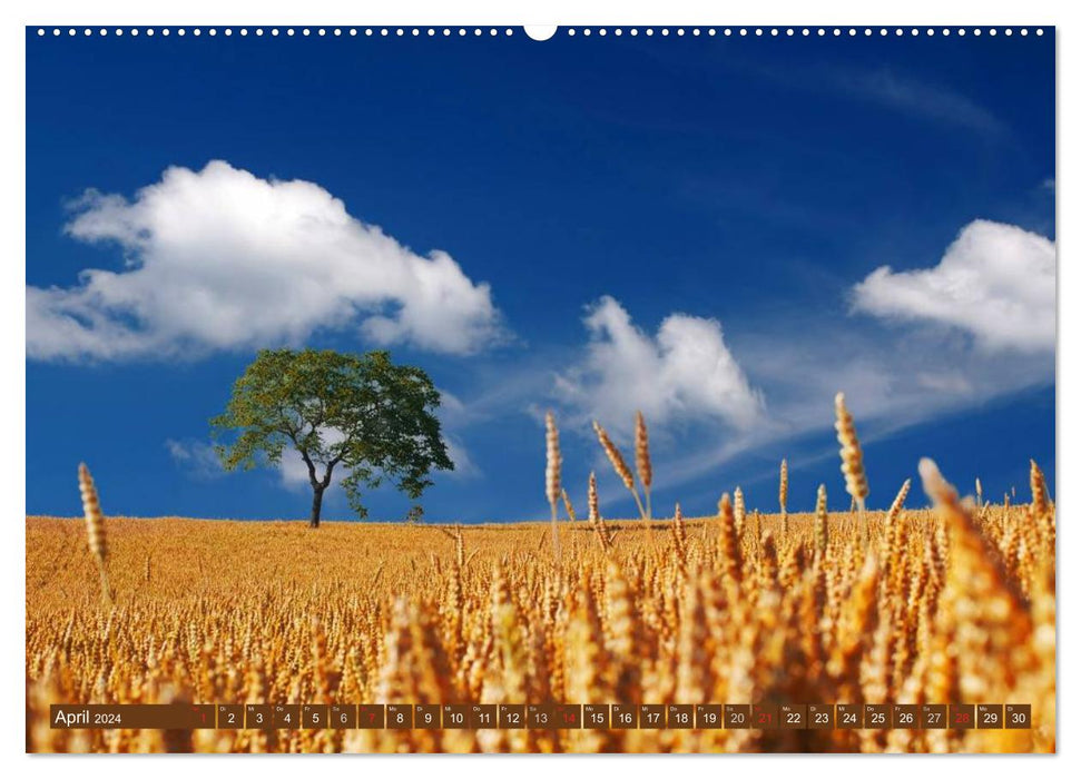 Agriculture - Impressions (CALVENDO Premium Wall Calendar 2024) 