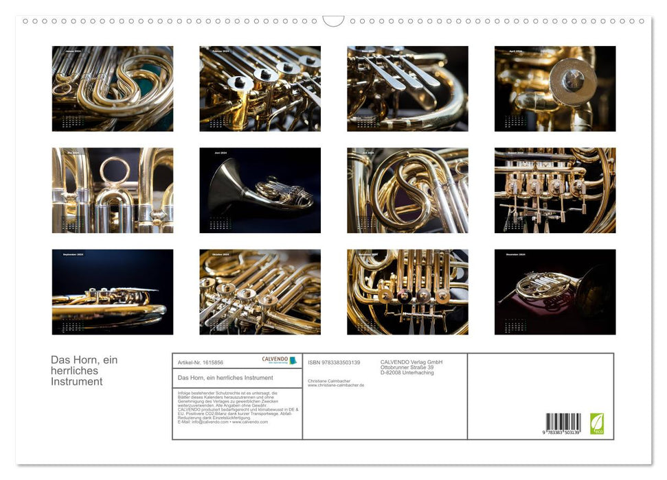 The horn, a wonderful instrument (CALVENDO wall calendar 2024) 