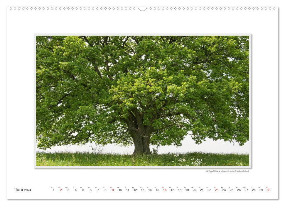 Emotional moments: Altenkirchen - the livable district in the north of the Westerwald. (CALVENDO wall calendar 2024) 