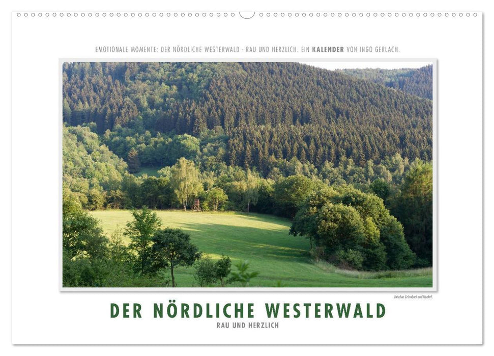 Emotional moments: The northern Westerwald - rough and warm. (CALVENDO wall calendar 2024) 