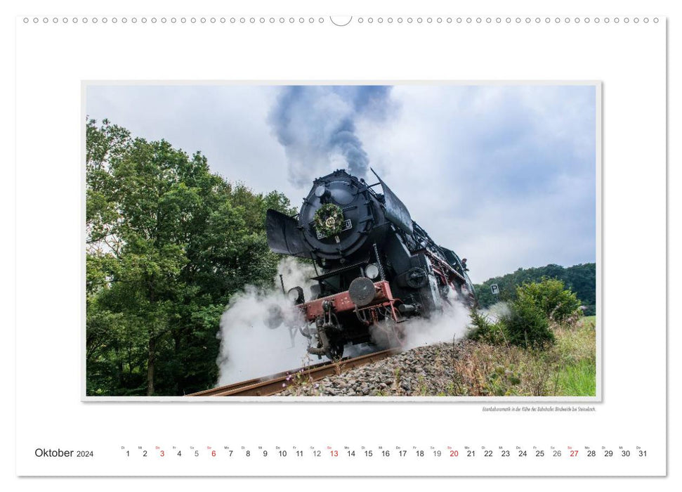 Emotional moments: The northern Westerwald - rough and warm. (CALVENDO wall calendar 2024) 