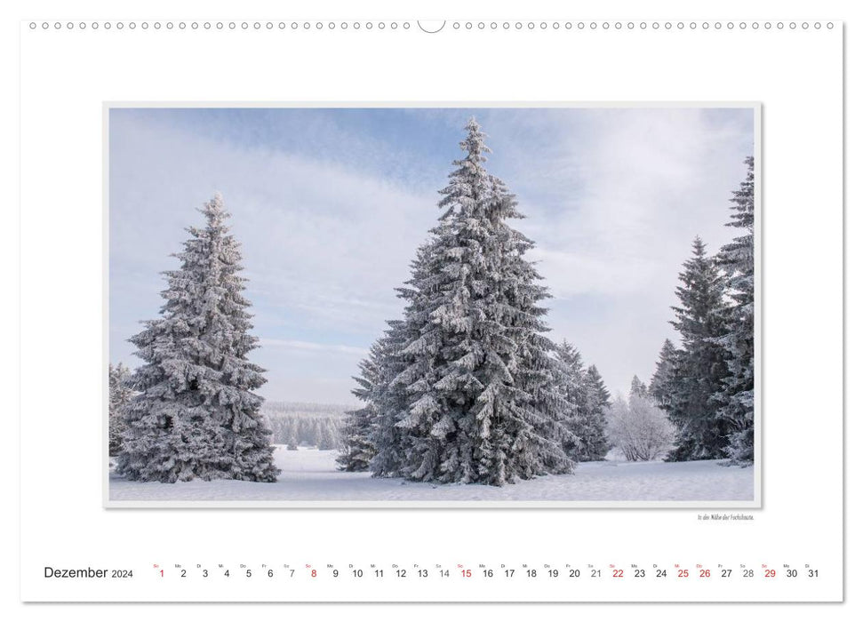 Emotional moments: The northern Westerwald - rough and warm. (CALVENDO wall calendar 2024) 