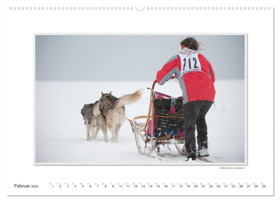 Emotional moments: The northern Westerwald - rough and warm. (CALVENDO wall calendar 2024) 