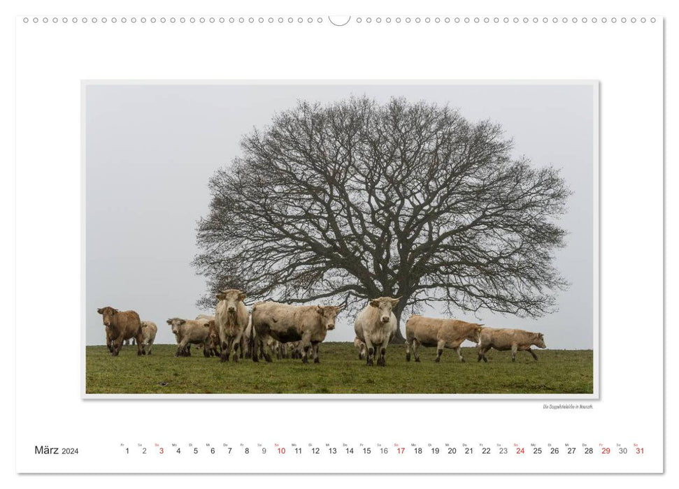 Moments d'émotion : Le nord du Westerwald - rude et chaleureux. (Calendrier mural CALVENDO 2024) 