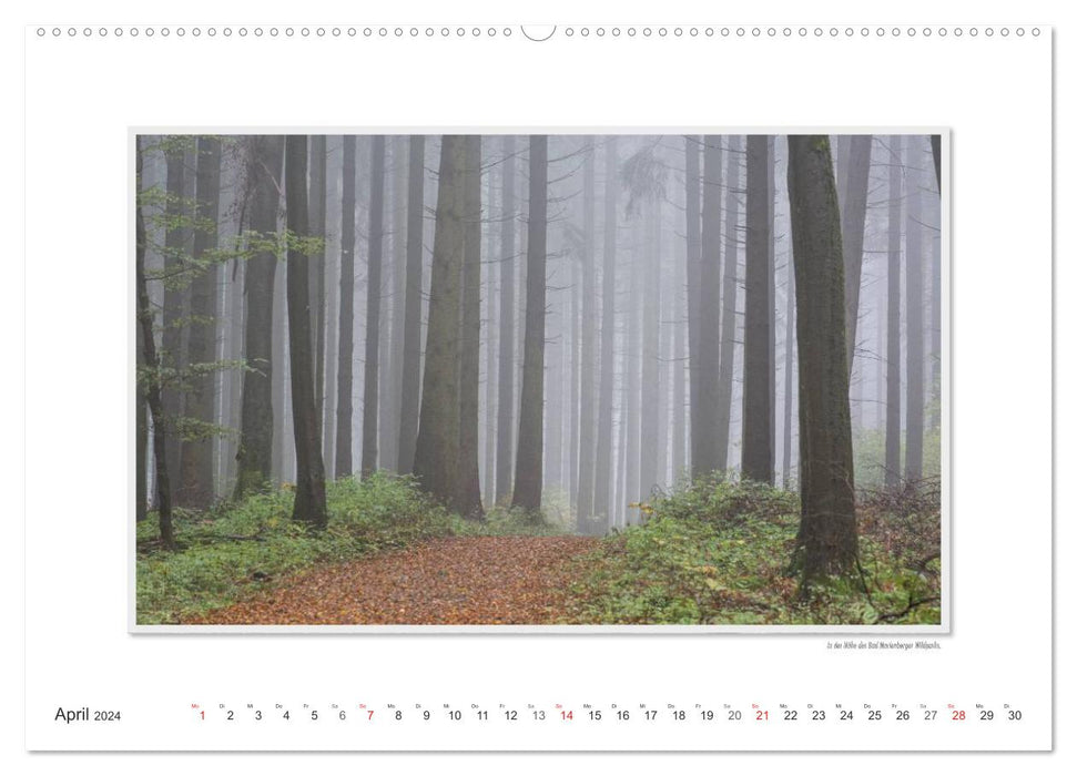 Emotional moments: The northern Westerwald - rough and warm. (CALVENDO wall calendar 2024) 