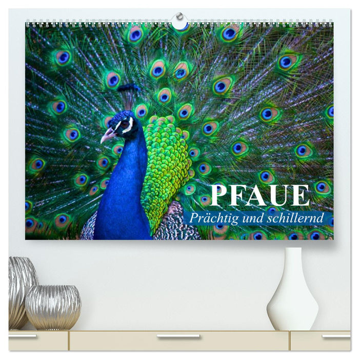 Peacocks. Magnificent and dazzling (CALVENDO Premium Wall Calendar 2024) 