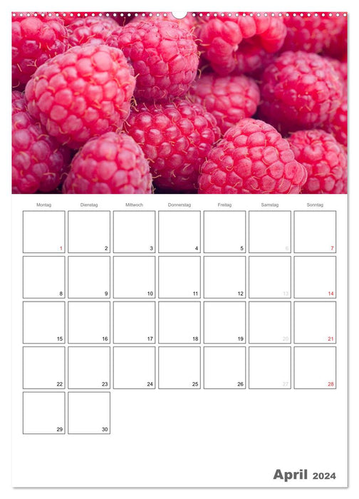 Frische Küche - Der hilfreiche Monatsplaner / Planer (CALVENDO Premium Wandkalender 2024)