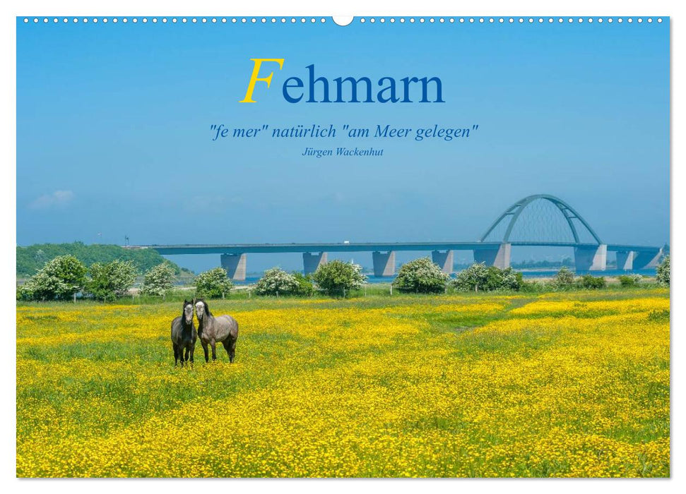 Fehmarn - "fe mer" of course "located by the sea" (CALVENDO wall calendar 2024) 