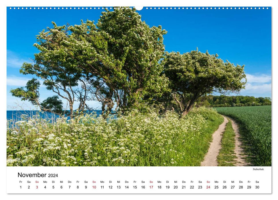 Fehmarn - "fe mer" bien sûr "situé au bord de la mer" (calendrier mural CALVENDO 2024) 