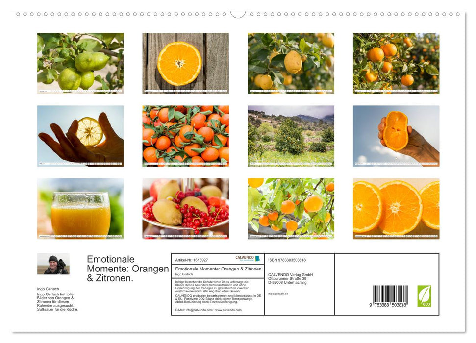 Moments d'émotion : oranges et citrons. (Calendrier mural CALVENDO Premium 2024) 