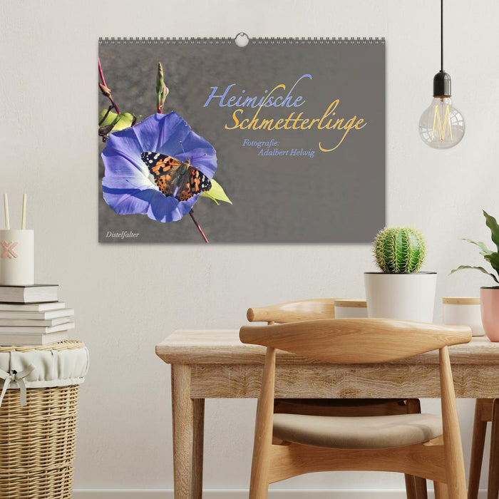 Local butterflies (CALVENDO wall calendar 2024) 