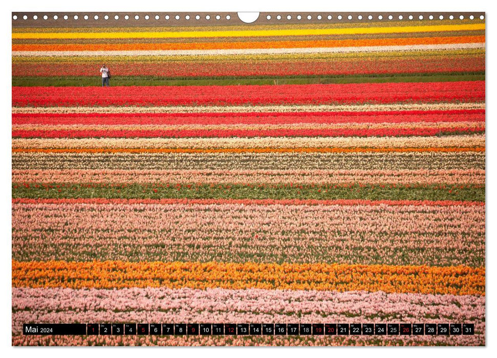 Niederlande – Un-Typisches aus Holland (CALVENDO Wandkalender 2024)