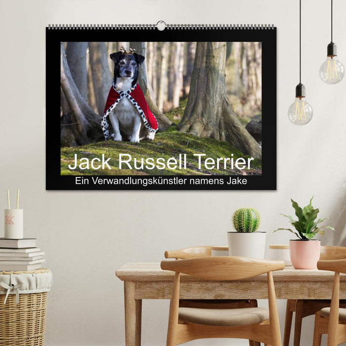 Jack Russell Terrier.....Ein Verwandlungskünstler namens Jake (CALVENDO Wandkalender 2024)