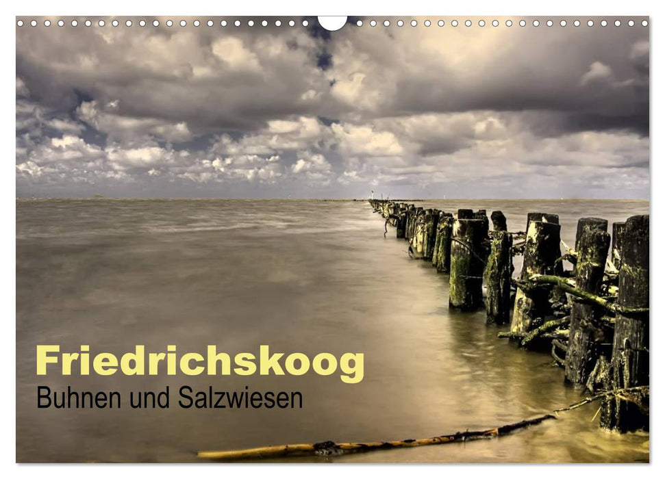 Friedrichskoog groynes and salt marshes (CALVENDO wall calendar 2024) 