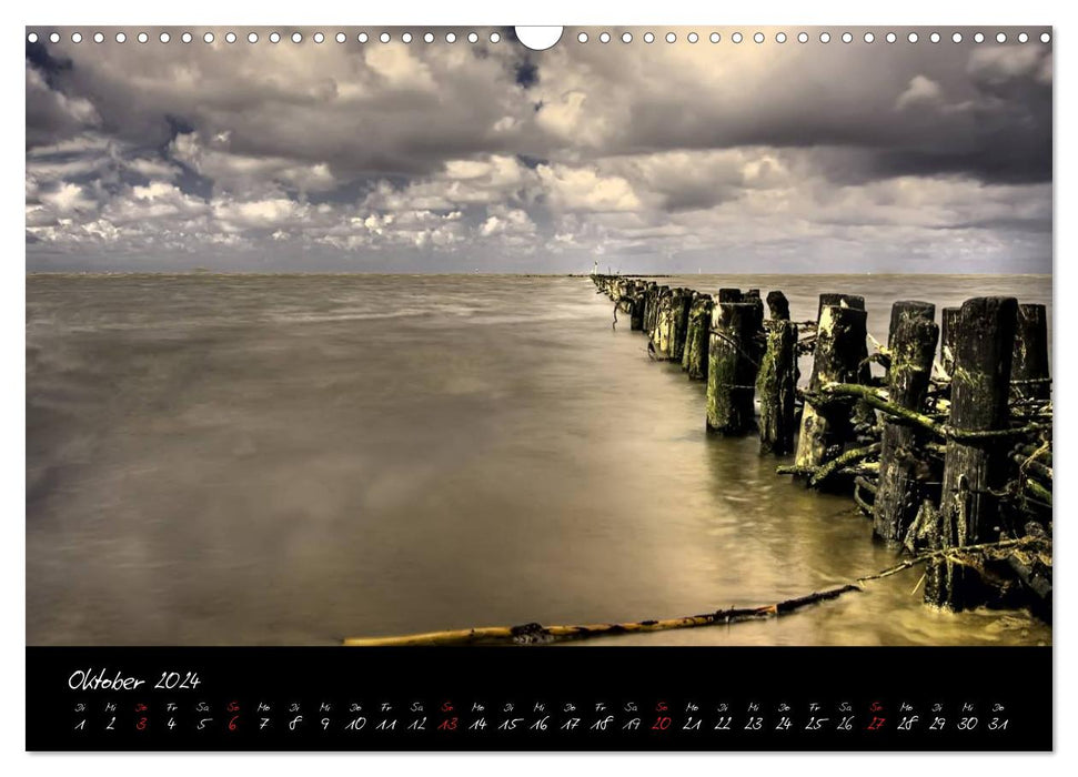 Friedrichskoog groynes and salt marshes (CALVENDO wall calendar 2024) 