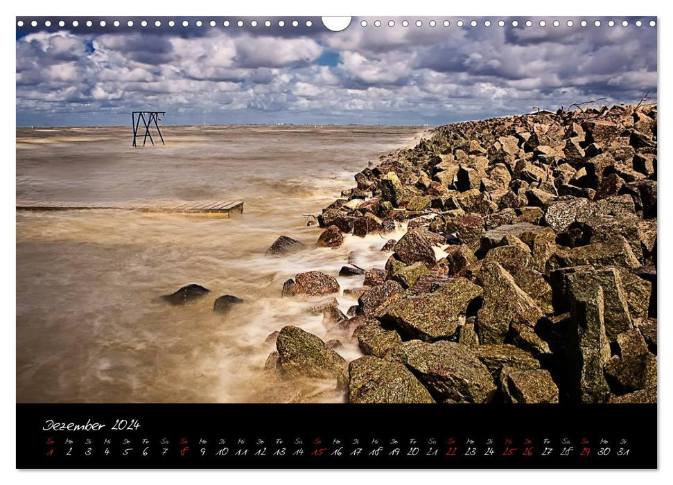 Friedrichskoog groynes and salt marshes (CALVENDO wall calendar 2024) 