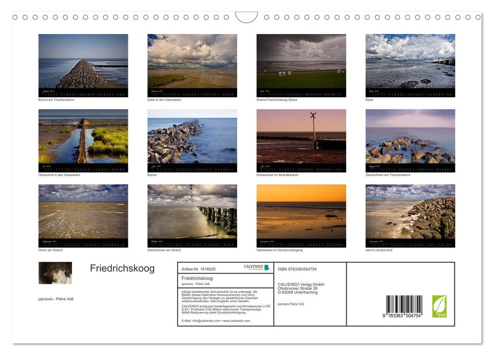 Friedrichskoog groynes and salt marshes (CALVENDO wall calendar 2024) 