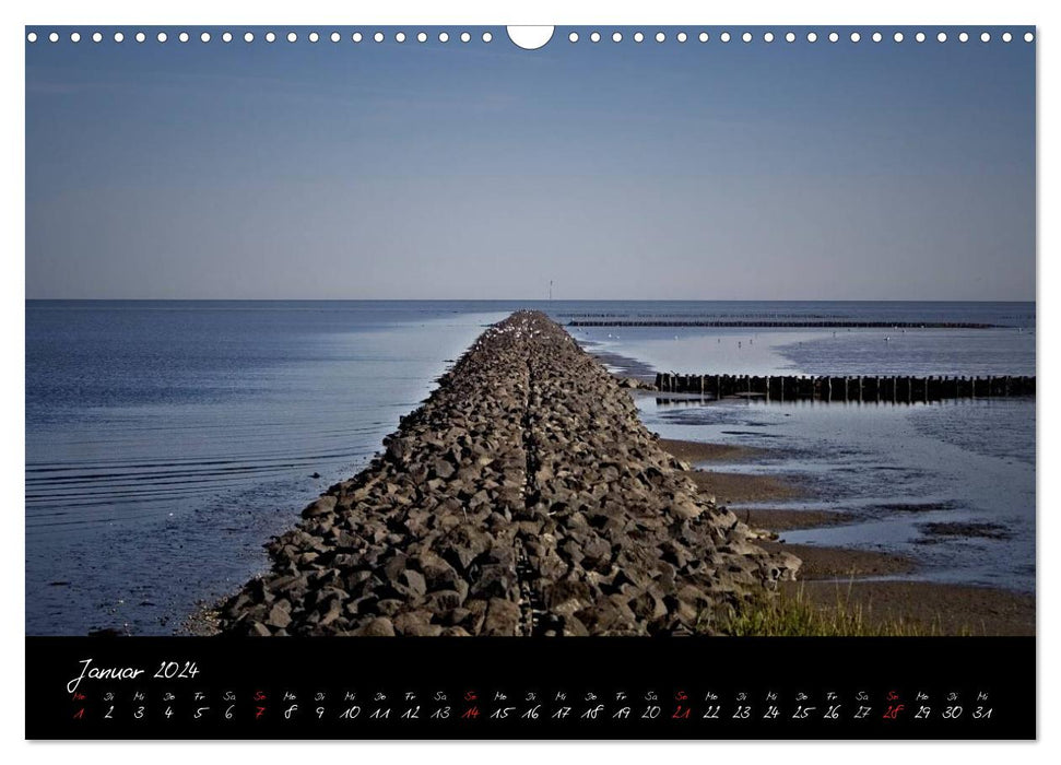 Friedrichskoog groynes and salt marshes (CALVENDO wall calendar 2024) 