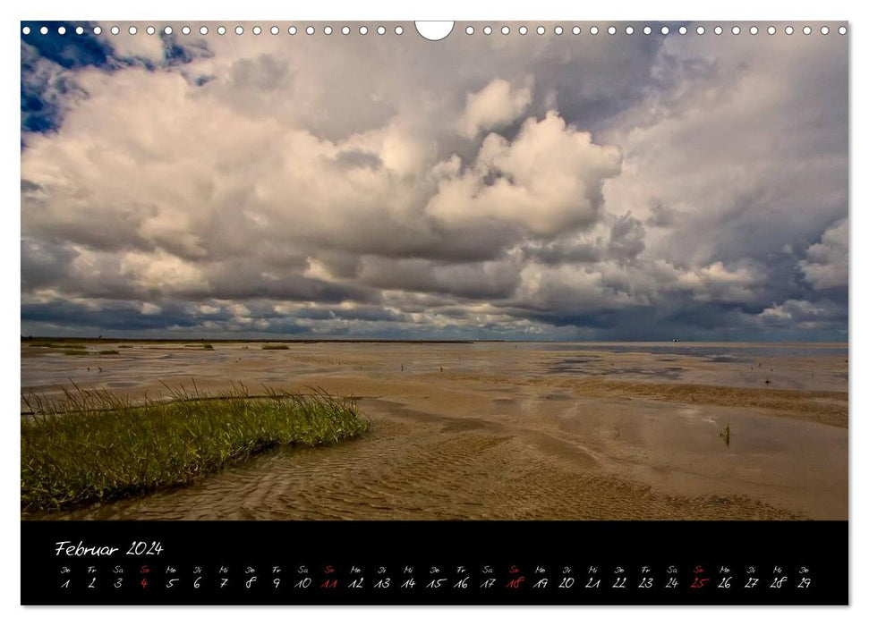 Friedrichskoog groynes and salt marshes (CALVENDO wall calendar 2024) 