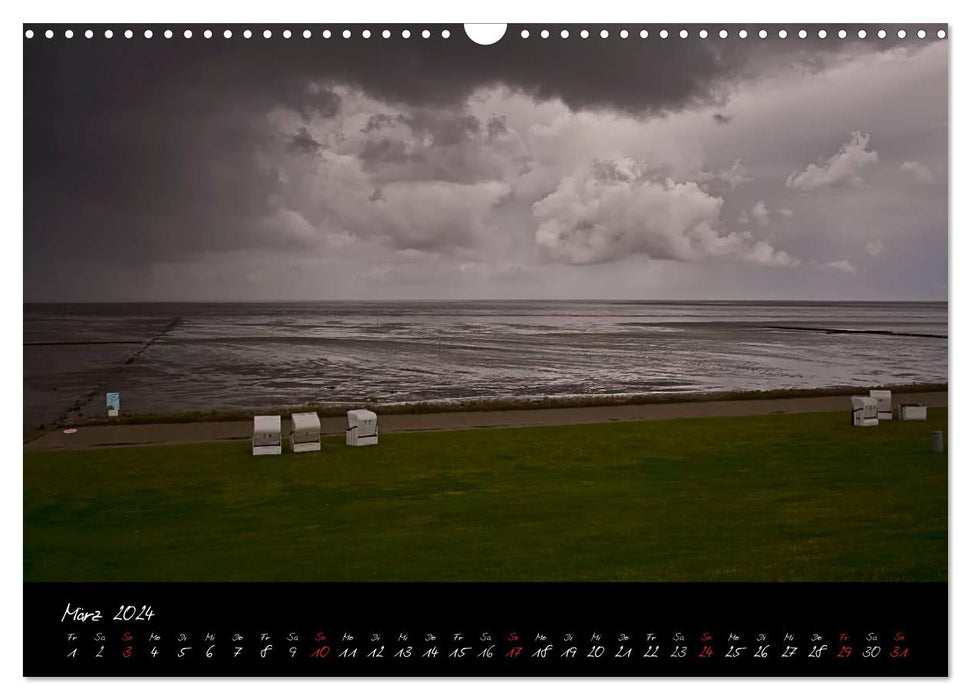 Friedrichskoog groynes and salt marshes (CALVENDO wall calendar 2024) 