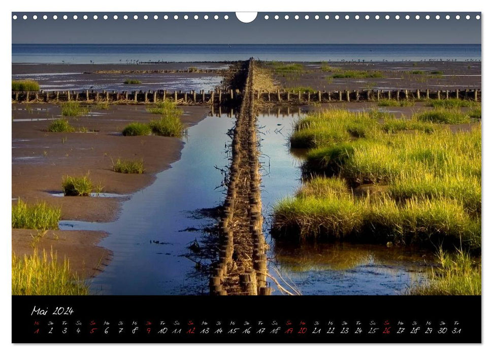 Friedrichskoog groynes and salt marshes (CALVENDO wall calendar 2024) 