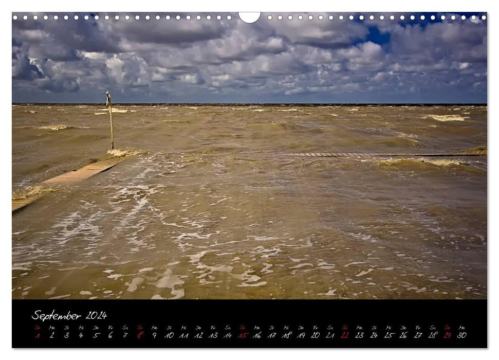 Friedrichskoog groynes and salt marshes (CALVENDO wall calendar 2024) 