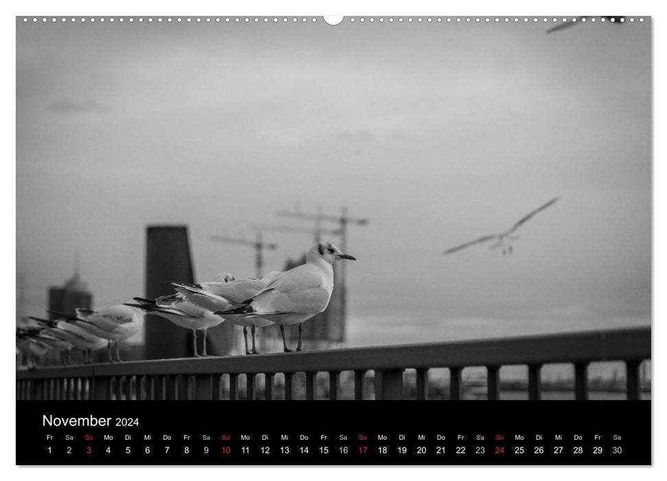 My Hamburg (CALVENDO Premium Wall Calendar 2024) 