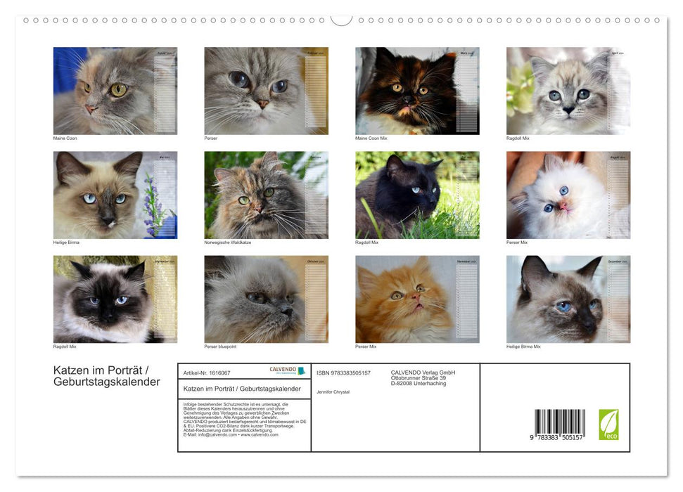 Cats in portrait / birthday calendar (CALVENDO Premium Wall Calendar 2024) 