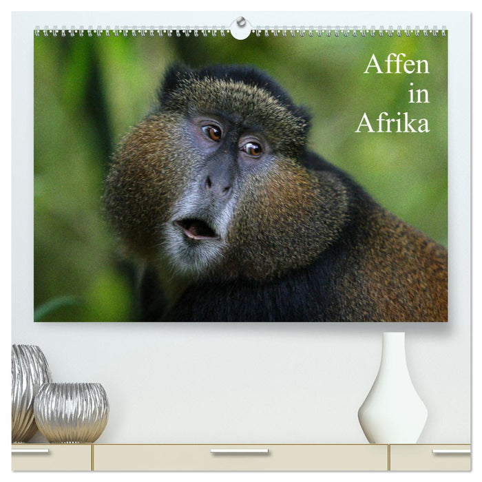 Monkeys in Africa (CALVENDO Premium Wall Calendar 2024) 