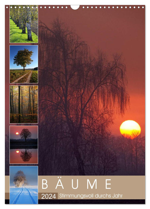 Trees - Atmospheric throughout the year (CALVENDO wall calendar 2024) 