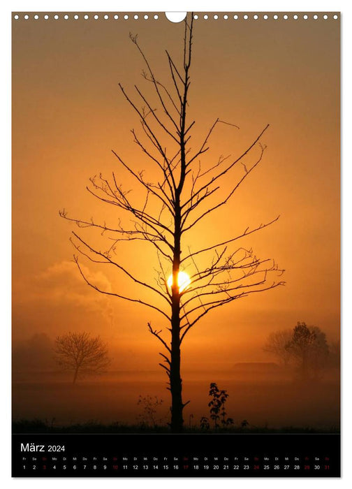 Bäume - Stimmungsvoll durchs Jahr (CALVENDO Wandkalender 2024)