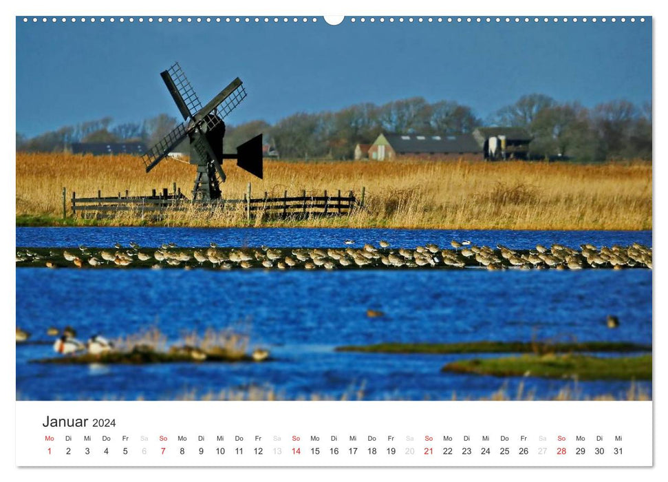 Texel – An island that enchants (CALVENDO wall calendar 2024) 