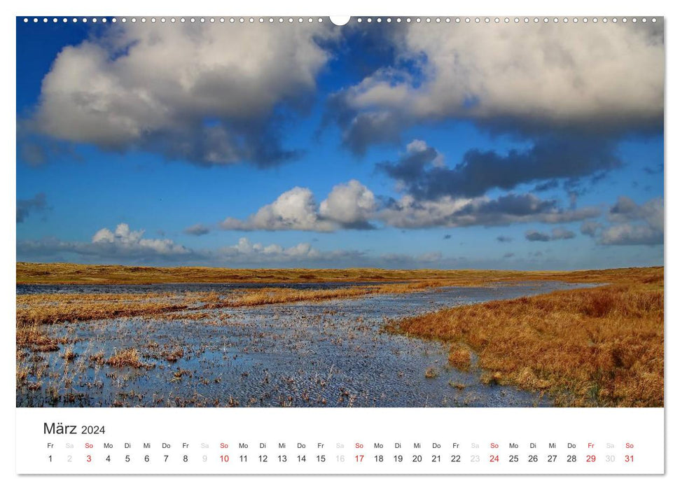 Texel – An island that enchants (CALVENDO wall calendar 2024) 