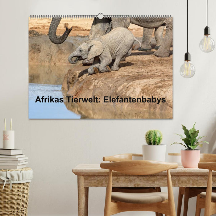 Afrikas Tierwelt: Elefantenbabys (CALVENDO Wandkalender 2024)