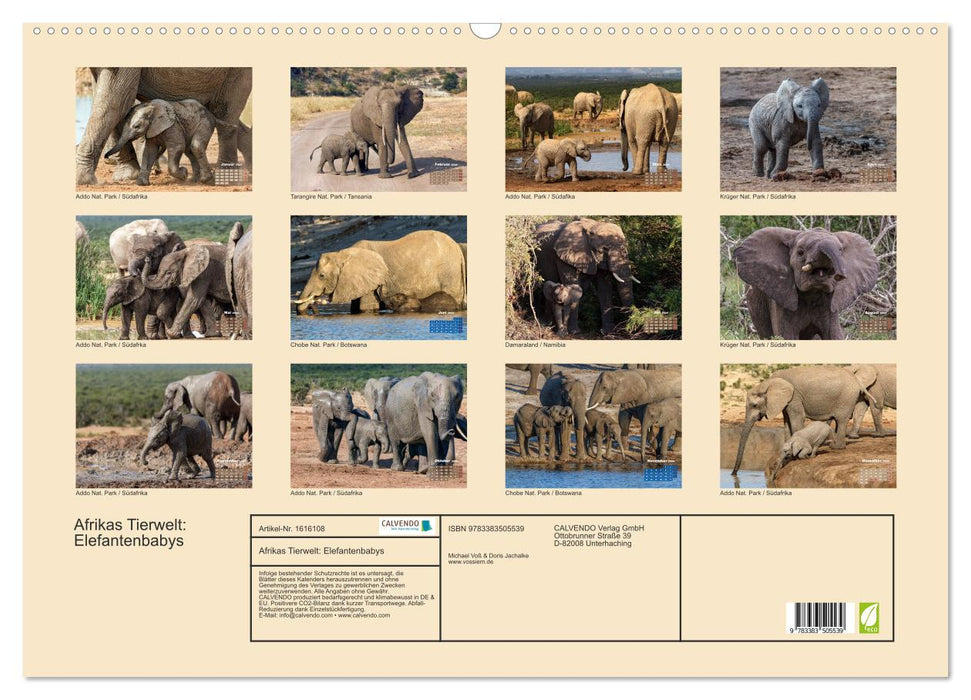 La faune africaine : bébés éléphants (calendrier mural CALVENDO 2024) 