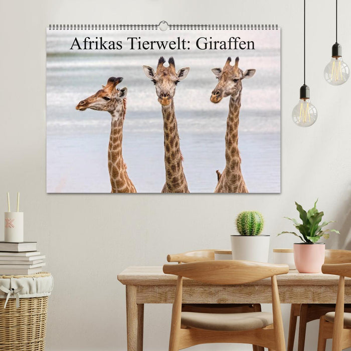 La faune africaine : les girafes (Calendrier mural CALVENDO 2024) 