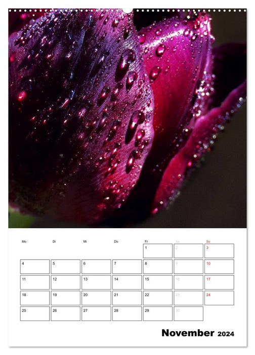 Magical world of flowers / planner (CALVENDO wall calendar 2024) 