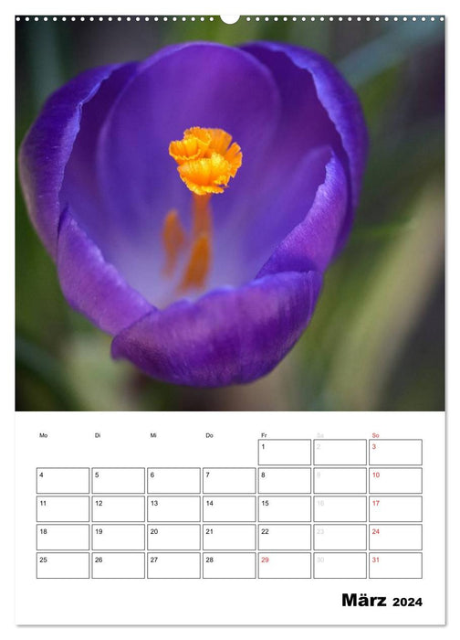 Monde magique des fleurs / planificateur (calendrier mural CALVENDO 2024) 