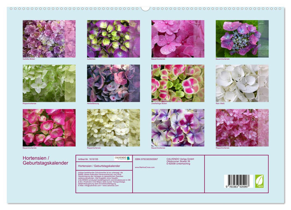 Hydrangeas / Birthday Calendar (CALVENDO Premium Wall Calendar 2024) 