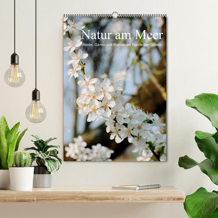 Nature by the sea - forests, gardens and flowers on the edge of the Baltic Sea (CALVENDO wall calendar 2024) 