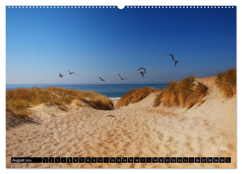 Dünen - an der Nordsee (CALVENDO Premium Wandkalender 2024)