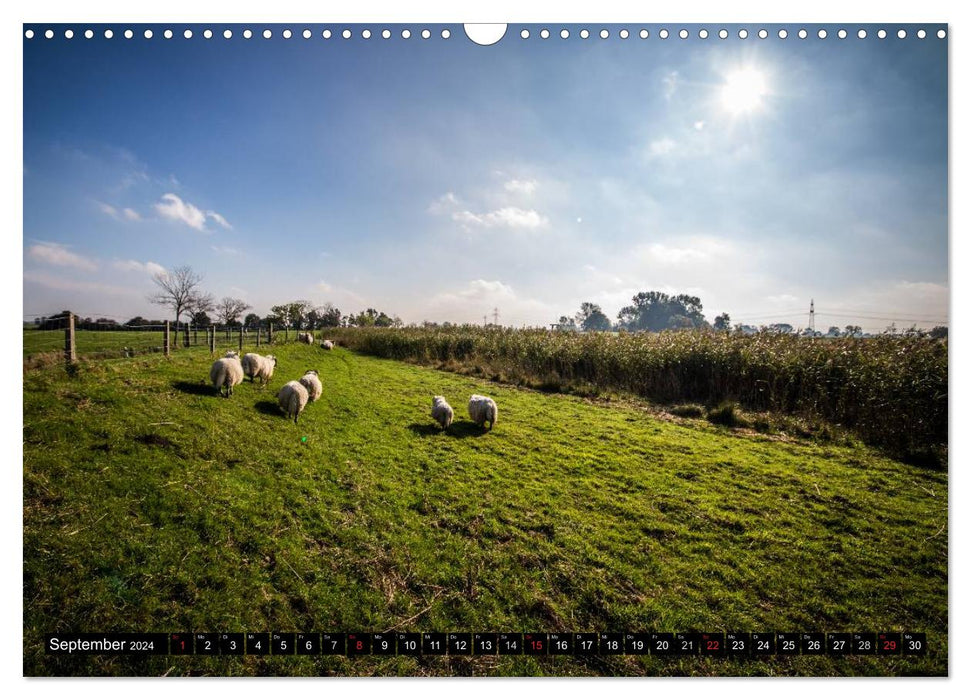 Beautiful East Frisia (CALVENDO wall calendar 2024) 