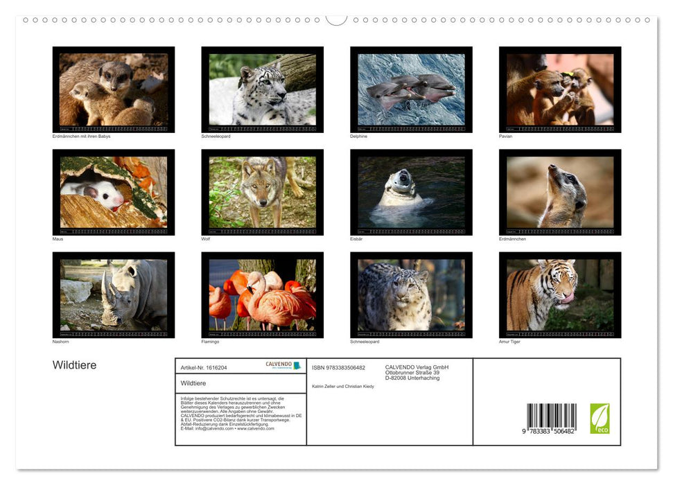 Wild animals (CALVENDO Premium wall calendar 2024) 