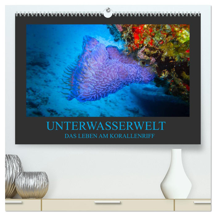Unterwasserwelt - Das Leben am Korallenriff (CALVENDO Premium Wandkalender 2024)