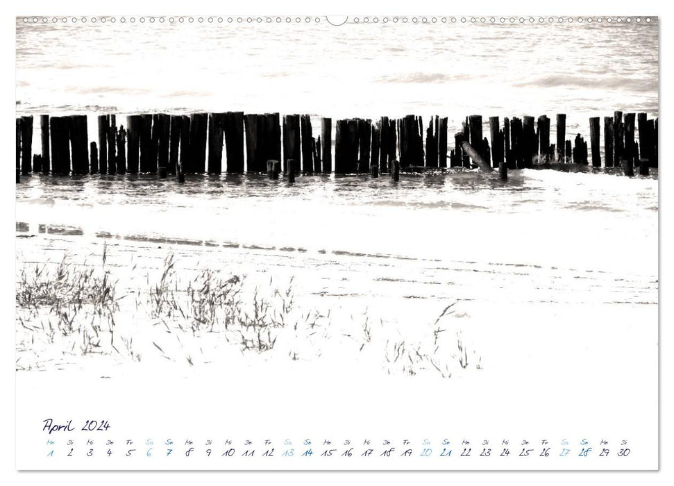 Sea images - North Sea impressions (CALVENDO Premium Wall Calendar 2024) 