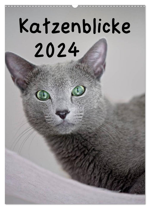 Cat looks 2024 (CALVENDO wall calendar 2024) 