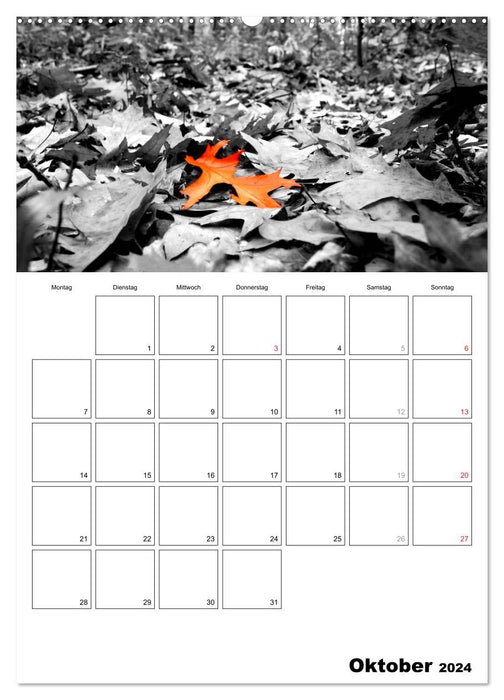 black/white meets color - YOUR CALENDAR / Planner (CALVENDO Premium Wall Calendar 2024) 