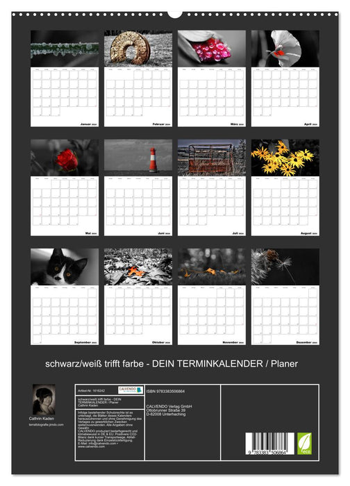 black/white meets color - YOUR CALENDAR / Planner (CALVENDO Premium Wall Calendar 2024) 